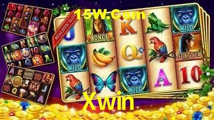 Segurança e performance na plataforma Xwin